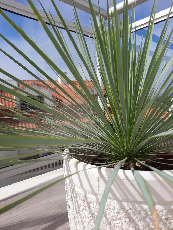 Sitius 5B - New Seaview Apartment With Rooftop Terrace In Historical Centre Sitio Da נאזרה מראה חיצוני תמונה